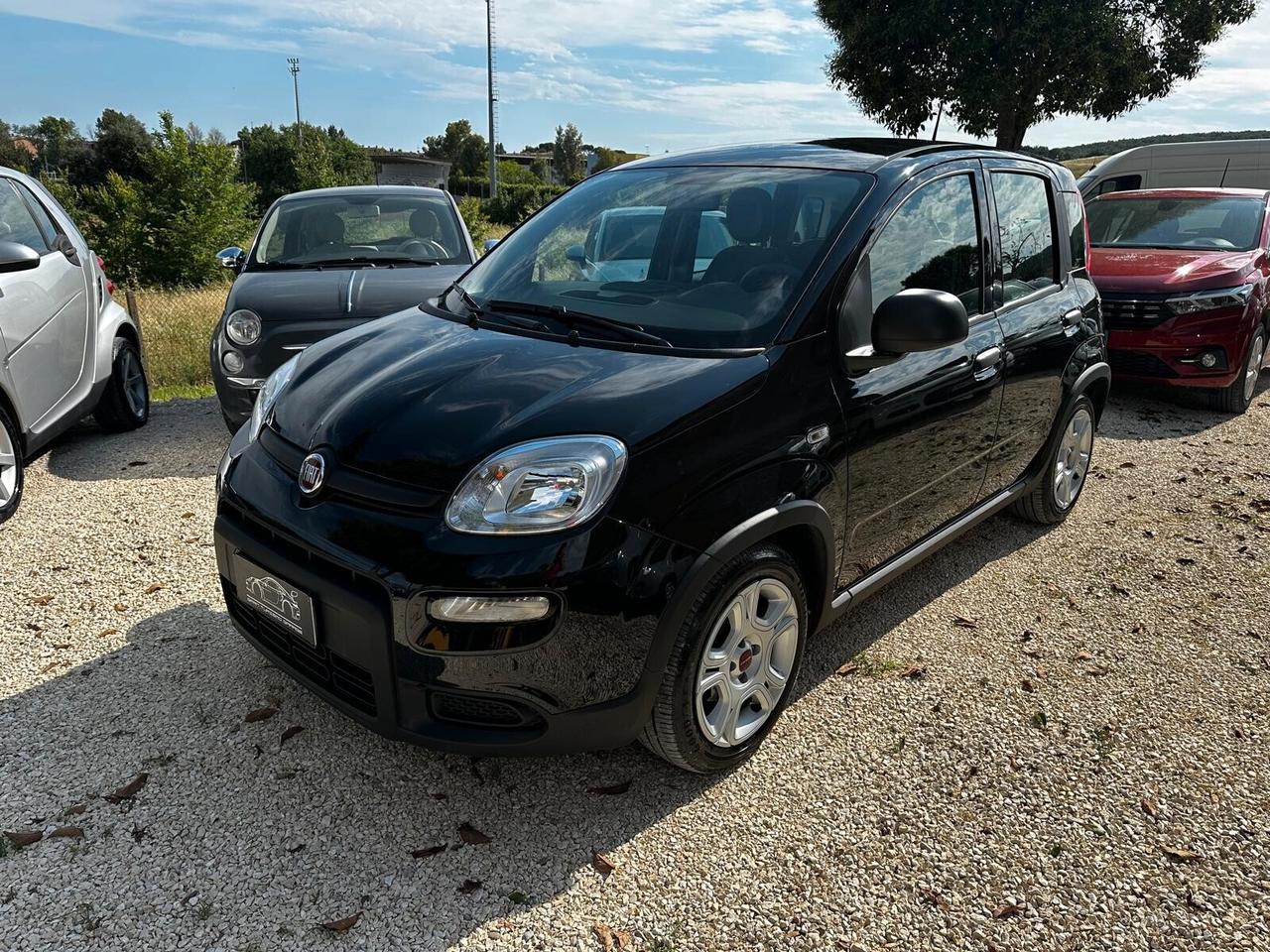 FIAT PANDA 1.0 FIREFLY S&S HYBRID PREZZO REALE