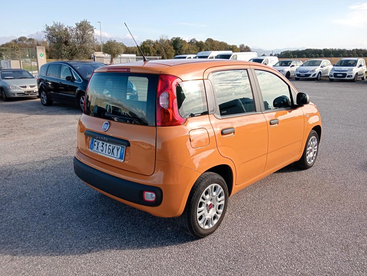 Fiat Panda 1.2 Easy UNIPROPRIETARIO