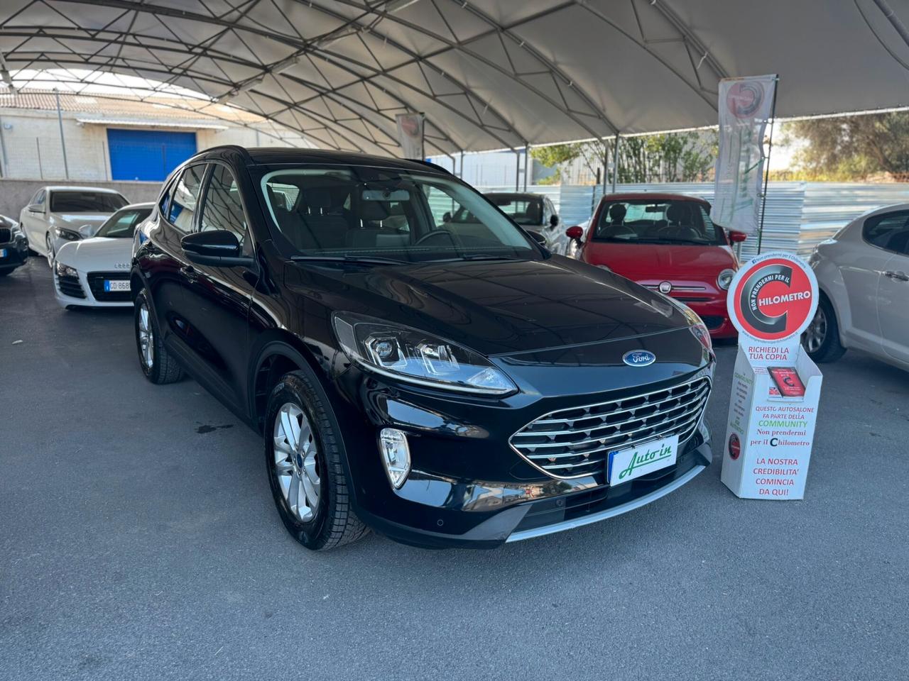 Ford Kuga 1.5 EcoBlue 120 CV aut. 2WD Titanium Business