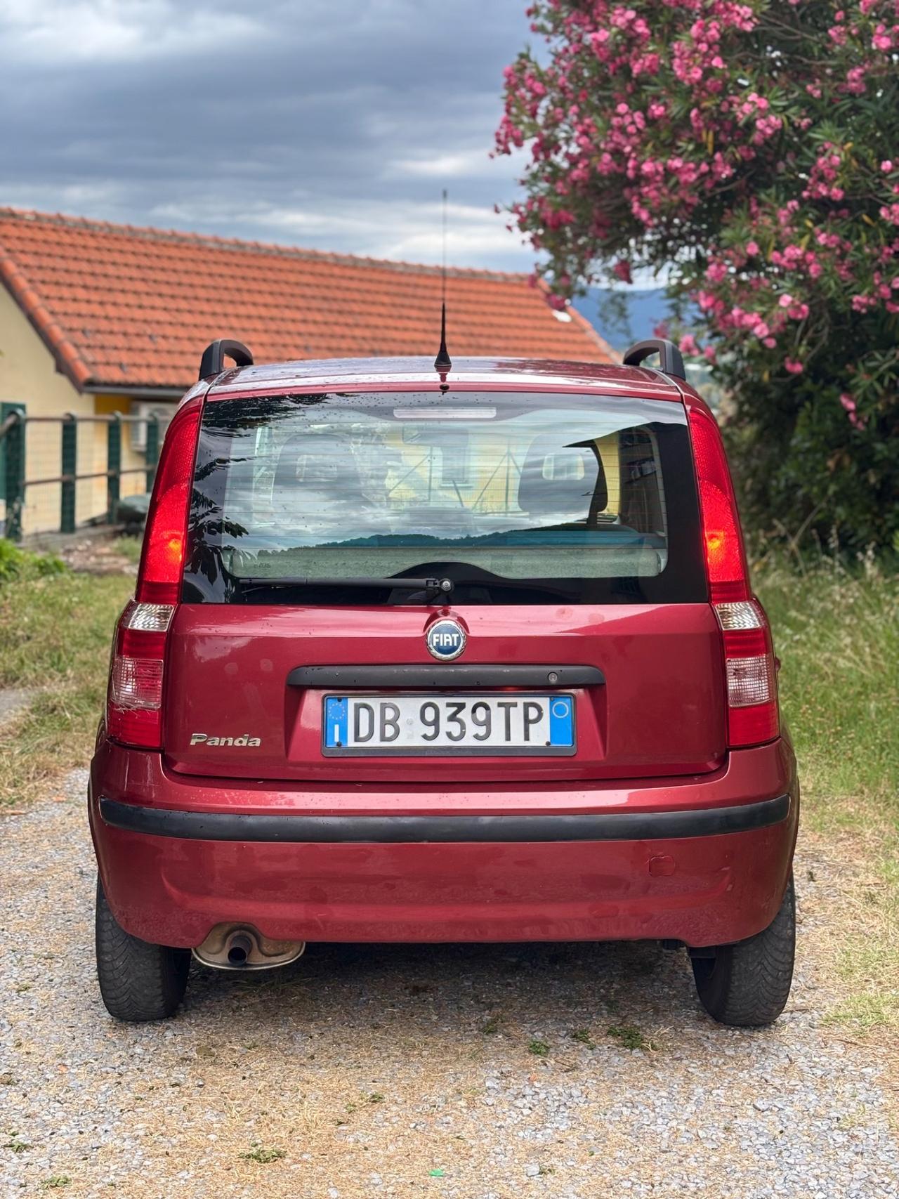 Fiat Panda 1.2 Dynamic OK NEOPATENTATI