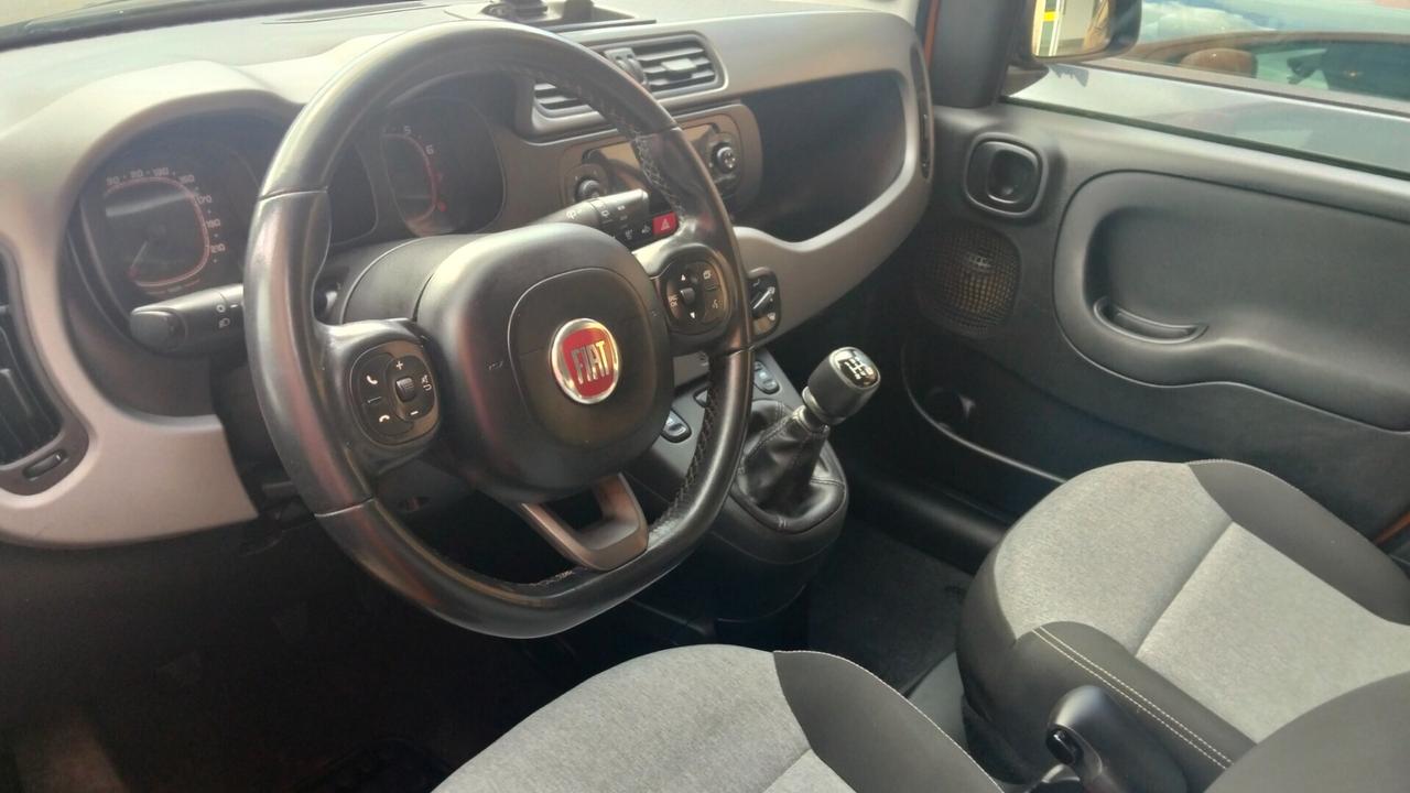Fiat Panda 1.2 Lounge PER NEOP 5 POSTI CINGHIA DISTRB NUOVA
