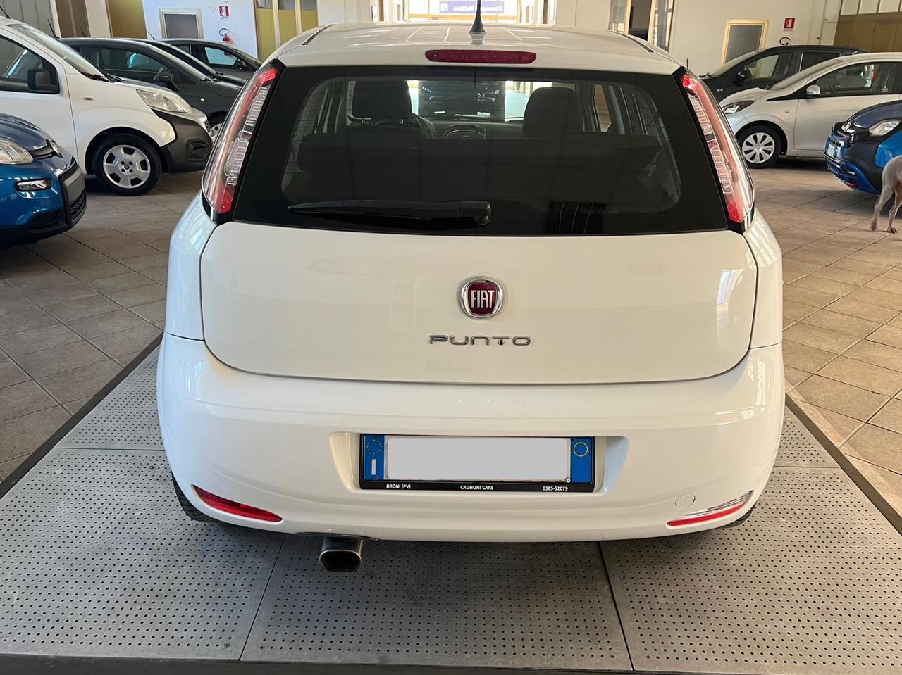 Fiat Punto 1.2 8V 5 porte Lounge