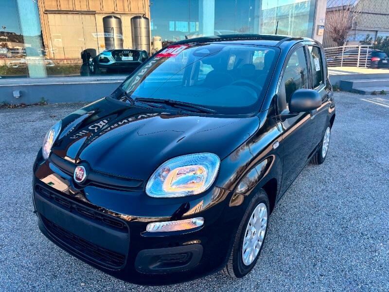 FIAT Panda 3ª serie Panda 1.0 FireFly S&S Hybrid