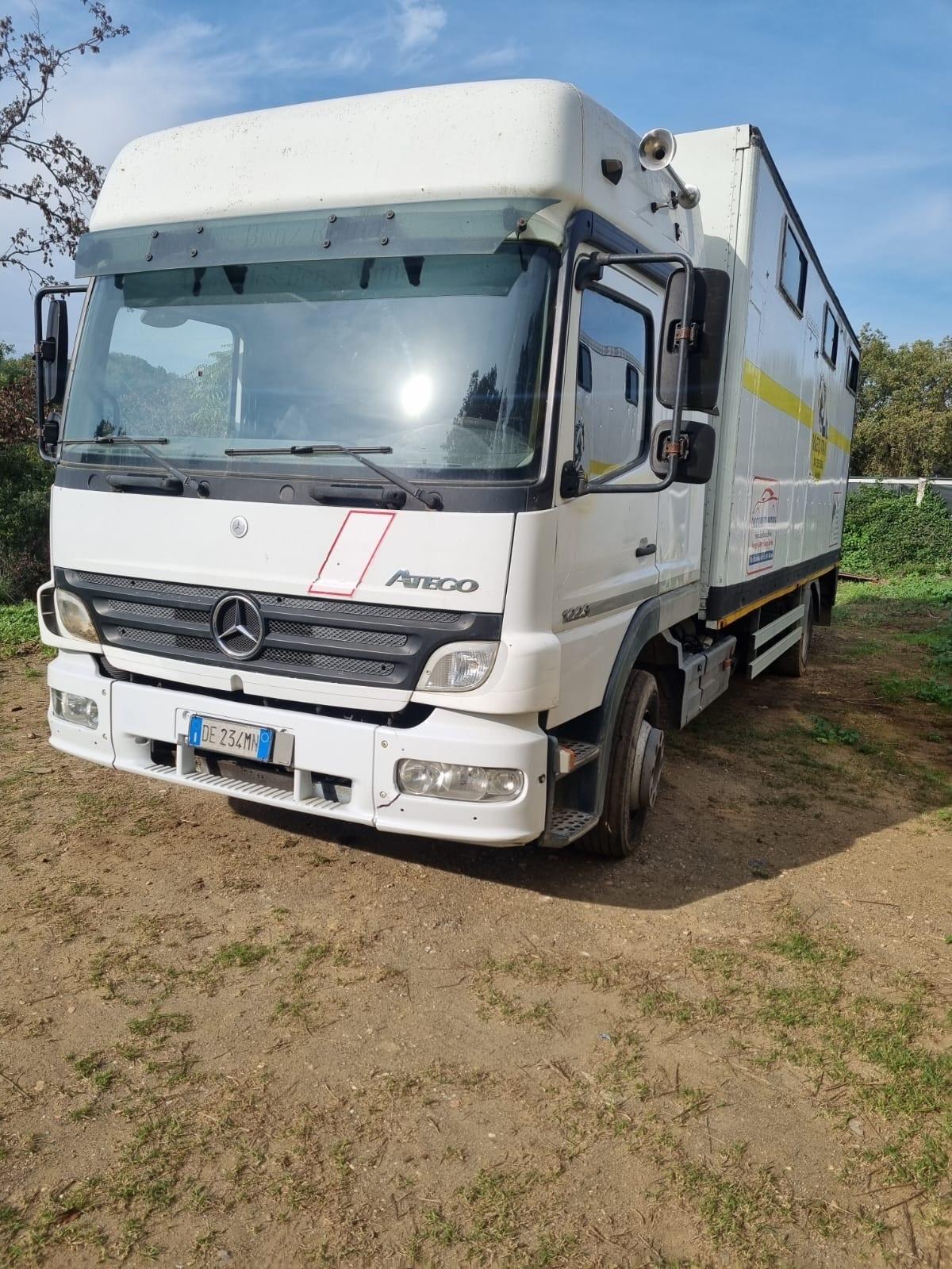 Mercedes Benz 12-23 TRASPORTO CAVALLI 8 POSTI