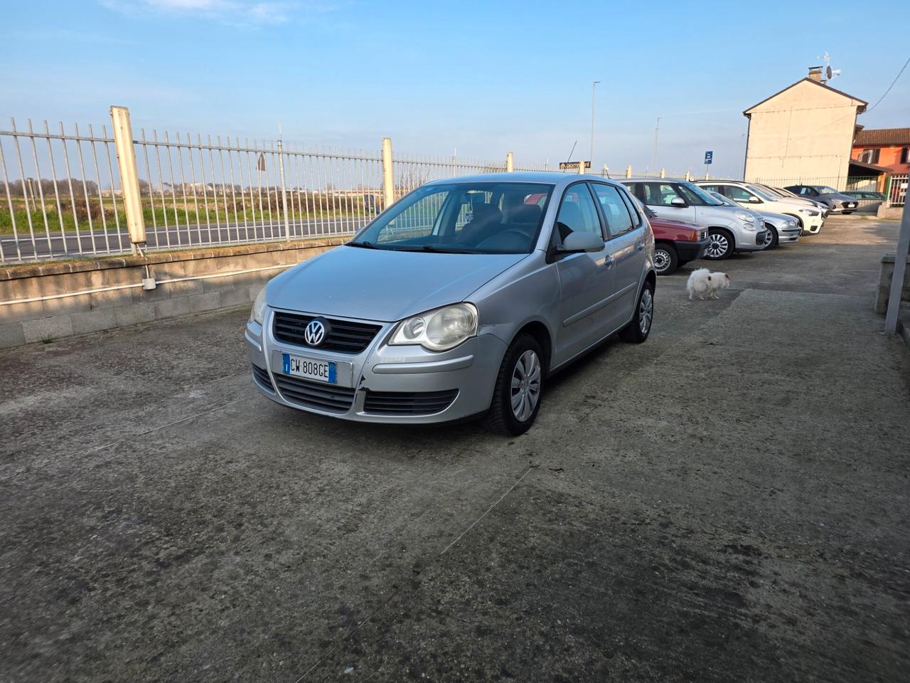 Volkswagen Polo 1.4/75CV 16V 5p. Comfortline