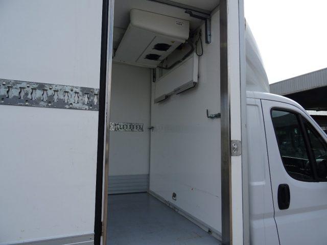OPEL Movano 35Q Maxi 140hp PLungo Cella-20° DoppiaTemperatur
