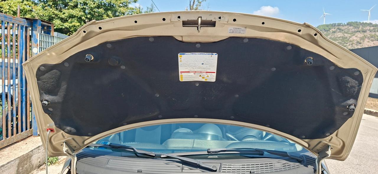 Fiat Multipla 1.6 16V Natural Power Dynamic