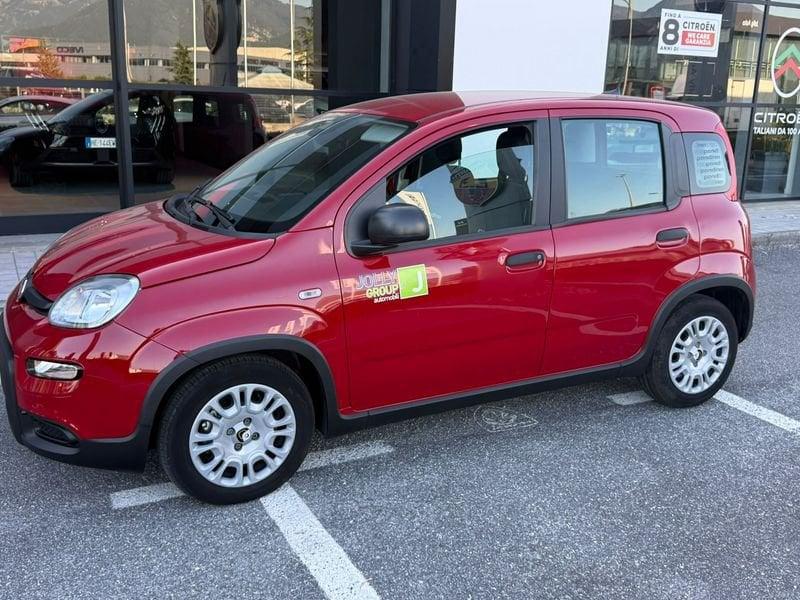 FIAT Panda NEW 1.0 70cv Hybrid PANDA