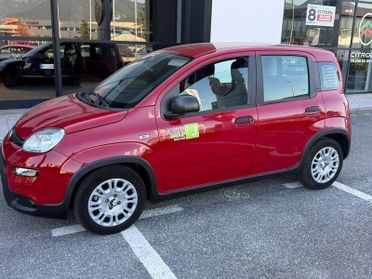 FIAT Panda NEW 1.0 70cv Hybrid PANDA