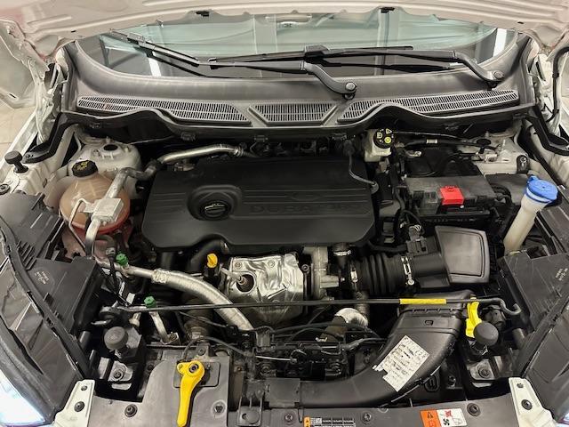 FORD - EcoSport 1.5 tdci Plus s&s 100cv NEOPATENTATI