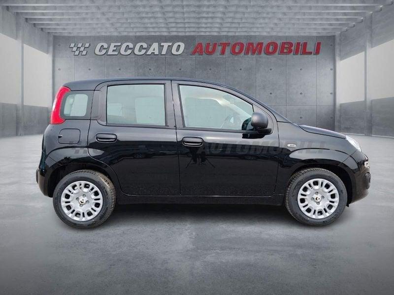 FIAT Panda Panda 1.0 firefly hybrid s&s 70cv