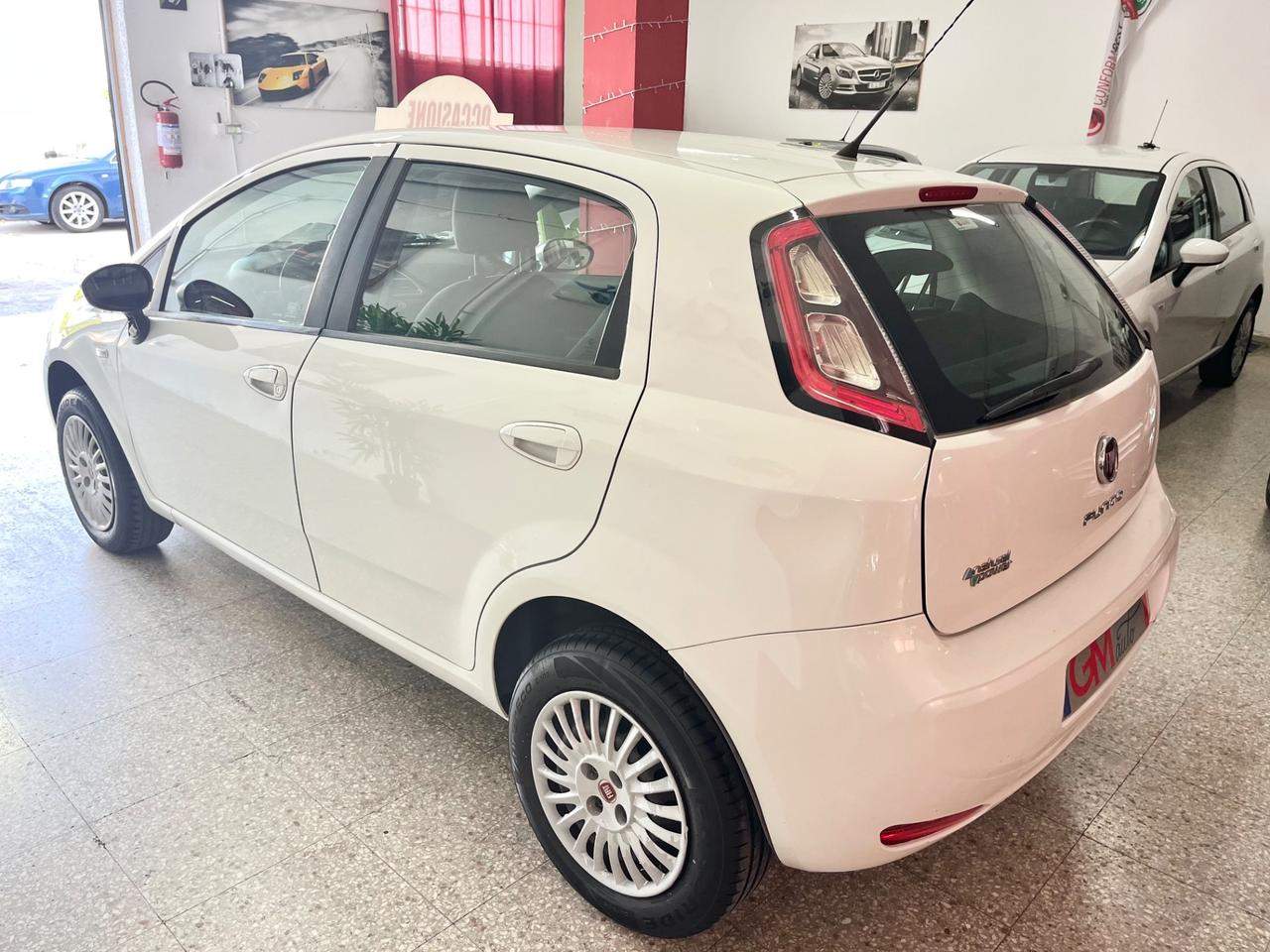 Fiat Punto 1.4 8V 5 porte Natural Power Street