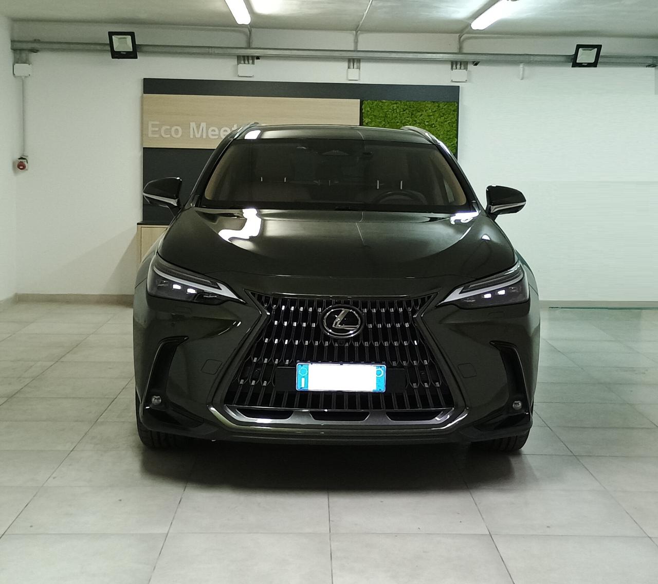 Lexus NX Hybrid 4WD Luxury