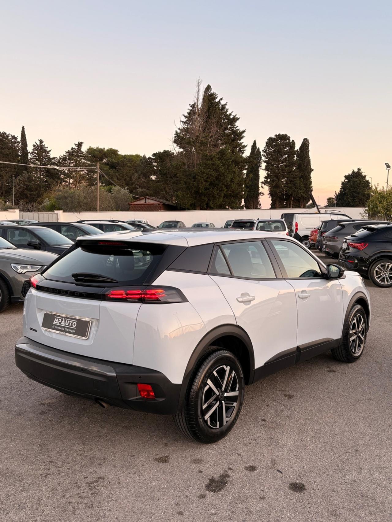 Peugeot 2008 PureTech 100 S&S Active