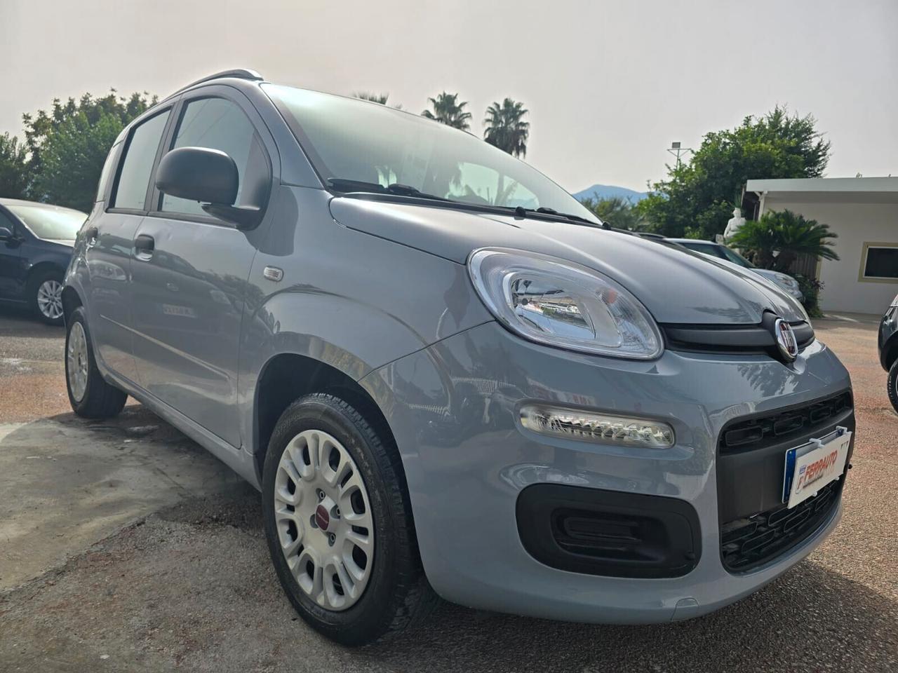 FIAT PANDA 1.2 BENZINA 69CV S&S LOUNGE ITALIANA GARANZIA