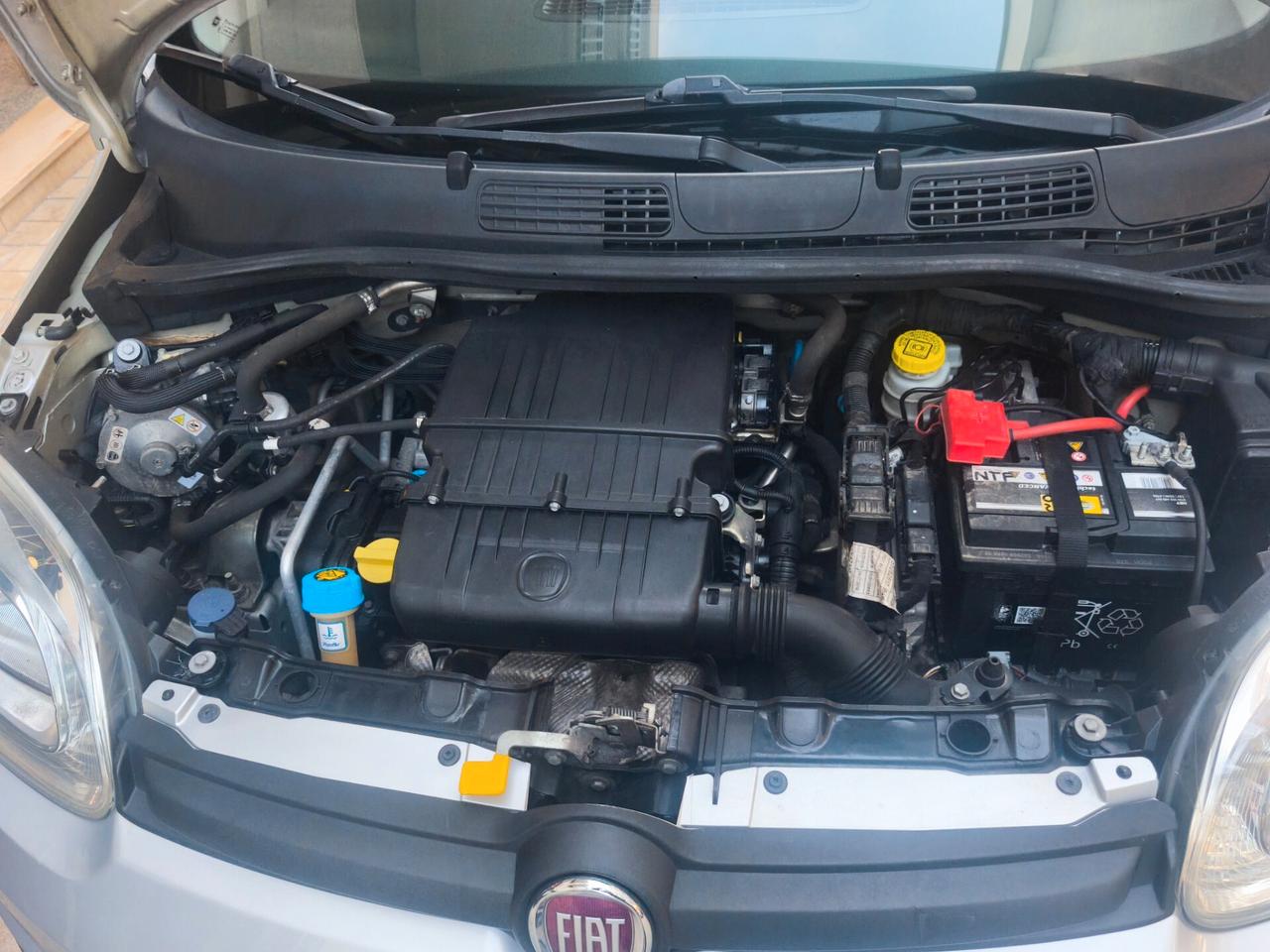 Fiat Panda 1.2 EasyPower Lounge 2019 GPL NEOPATENTATI