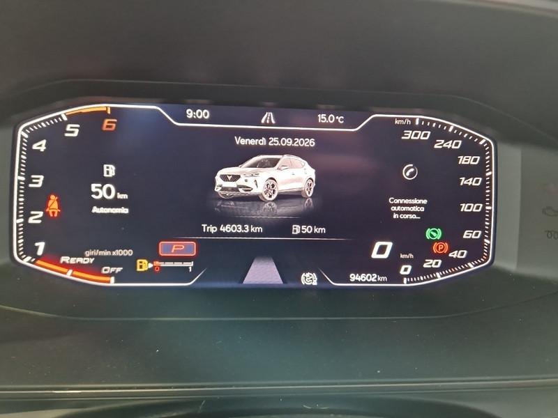 CUPRA FORMENTOR 2.0 TDI 4DRIVE DSG SUV