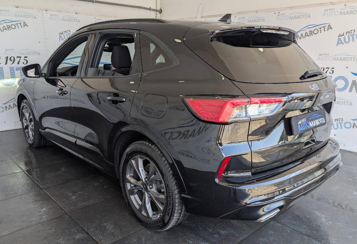 Ford Kuga 1.5 ecoblue ST-Line 2wd 120cv auto