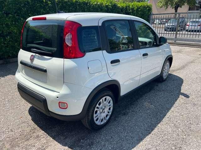 Fiat Panda 1.0 FireFly S&S Hybrid Pandina