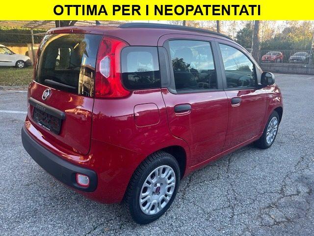 FIAT Panda 1.2 Red Collection
