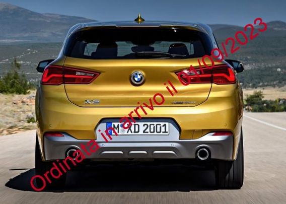 BMW X2 xDrive20d Msport-X