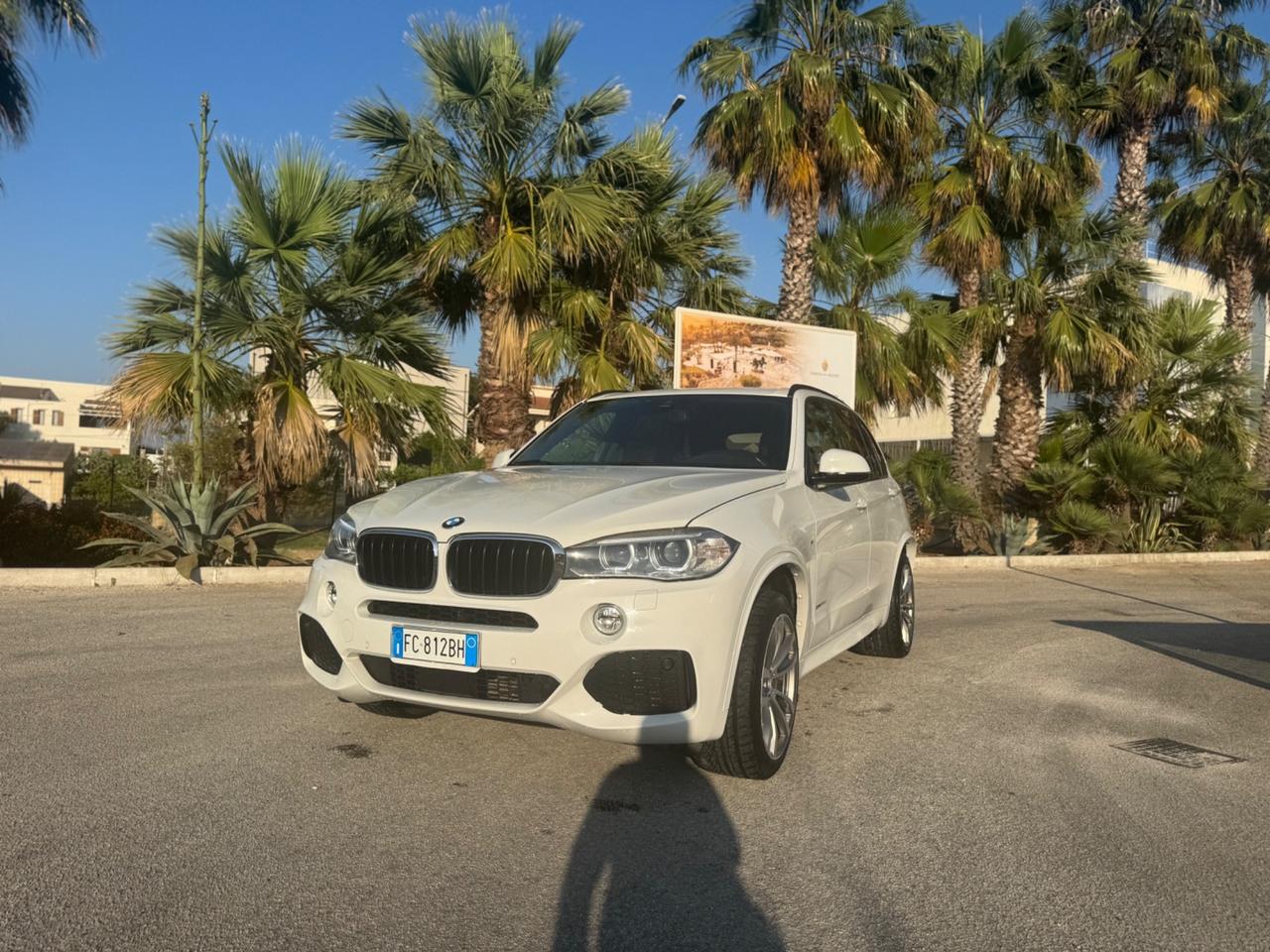 Bmw X5 M X5 sDrive25d Luxury