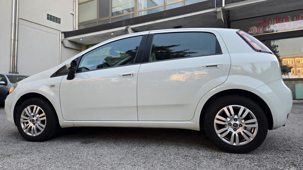 Fiat Punto 1.2 8V 5 porte Street Ok Neopatentati