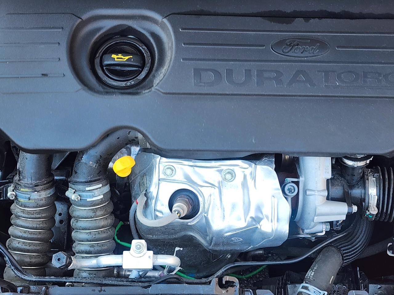 Ford Ka 1.5 TDCi 95 CV Start&Stop Active - 2019
