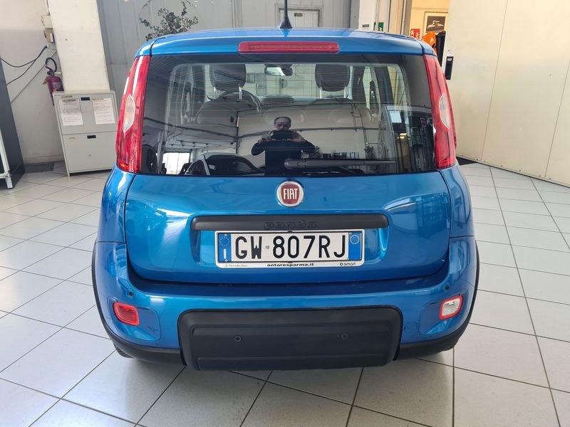 FIAT Panda 1.0 FireFly 70cv S&S Hybrid Pandina