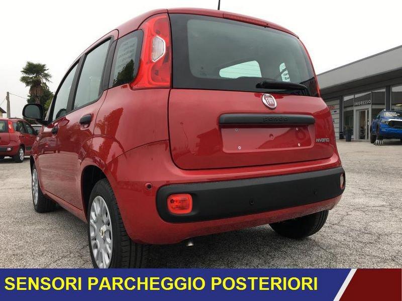 FIAT Panda 1.0 FireFly Hybrid Icon NUOVO MODELLO / PRONTA CONSEGNA