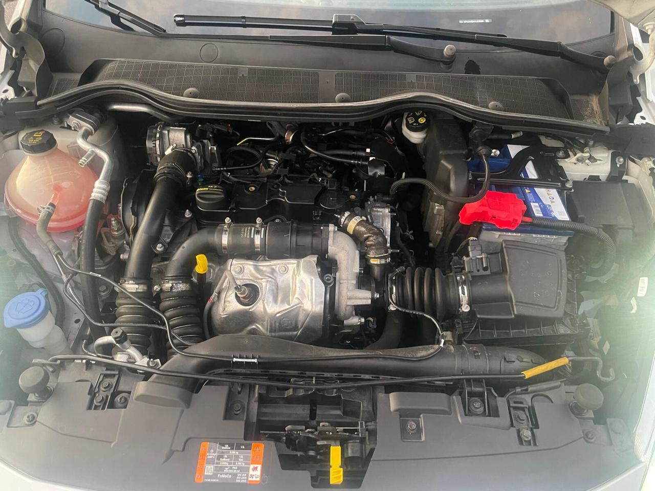 Ford Fiesta 1.5 EcoBlue 5 porte Titanium