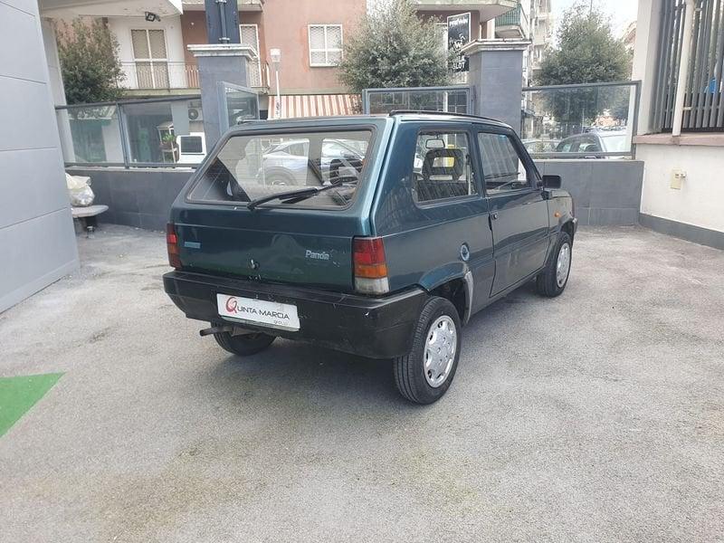 FIAT Panda 900 i.e. cat