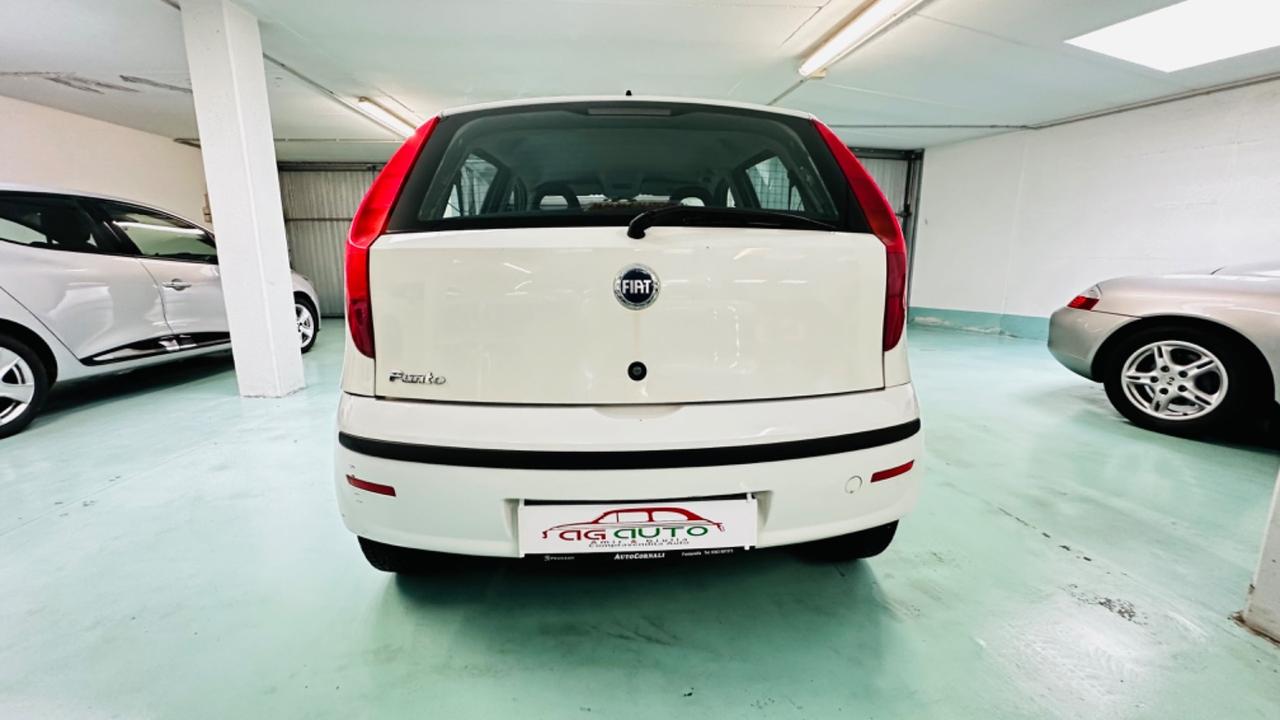 Fiat Punto 1.2 5 porte Dynamic. Ok neopatentati