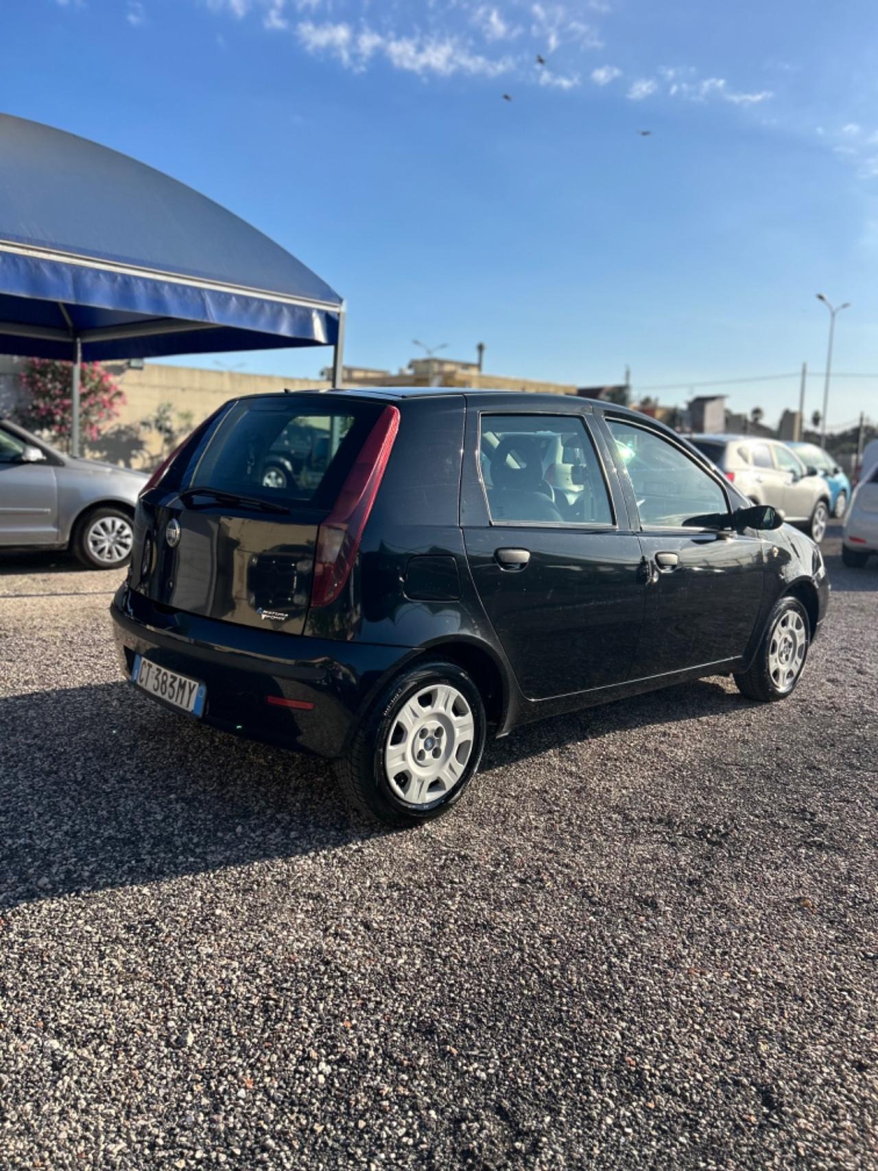 Fiat Punto 1.2 5 porte Active Natural Power