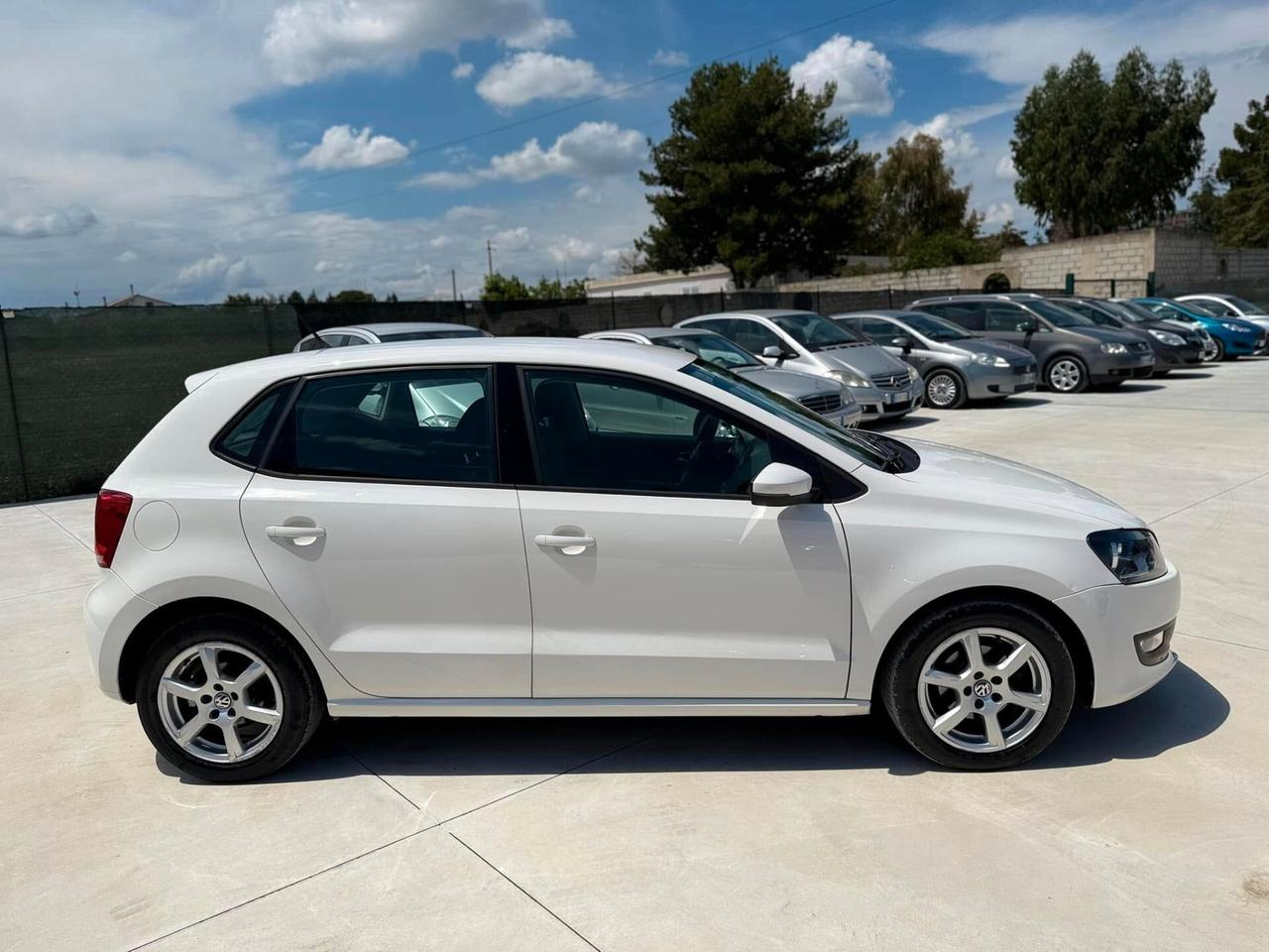 Volkswagen Polo Volkswagen Polo 1.6 TDI 90cv Bluemotion 2011