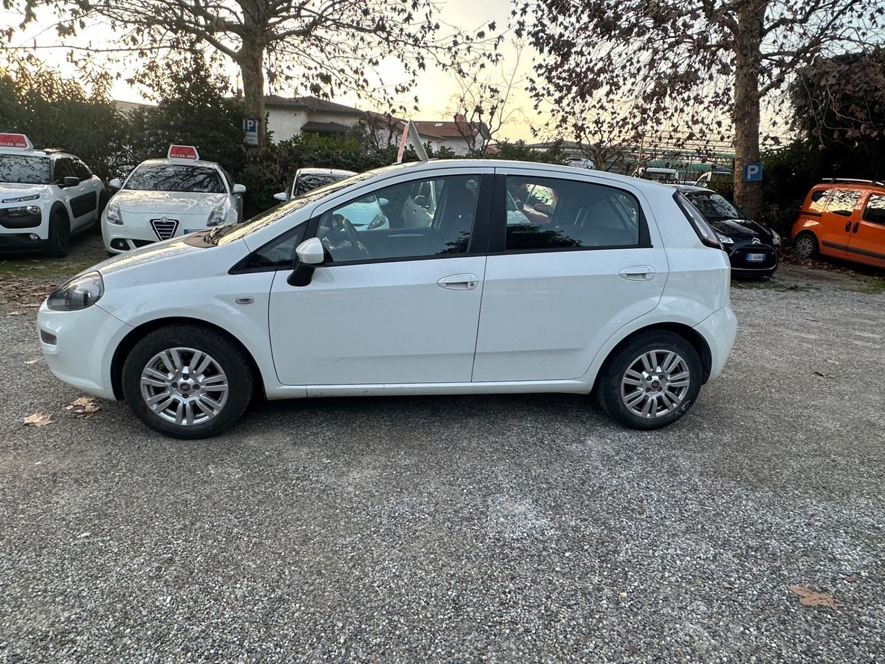 Fiat Punto 1.2 8V 5 porte Lounge