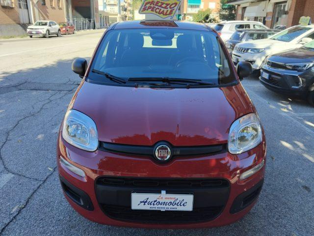 FIAT Panda 1.0 FireFly HYBRID KM 0 SENSORI POST PREZZO REALE
