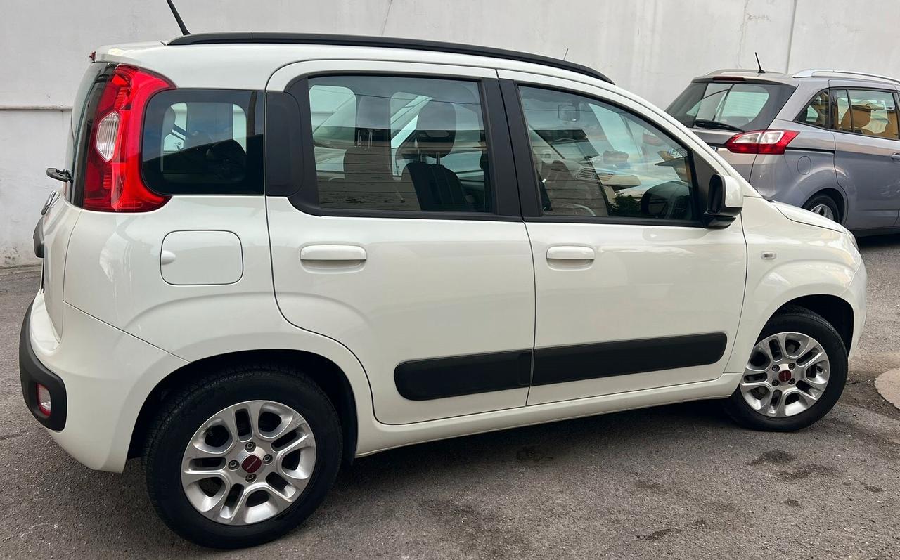 Fiat Panda New 1.2 EasyPower Lounge Com.Vol.Cerchi in lega