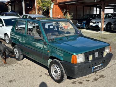 Fiat Panda 1100 i.e. cat Young