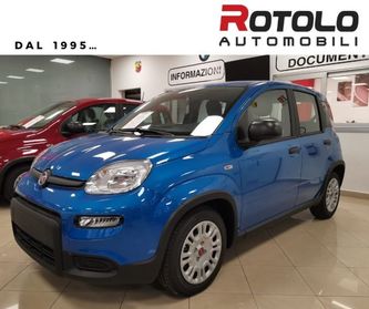 FIAT Panda Panda NUOVA con rottamazione Euro 0-1-2