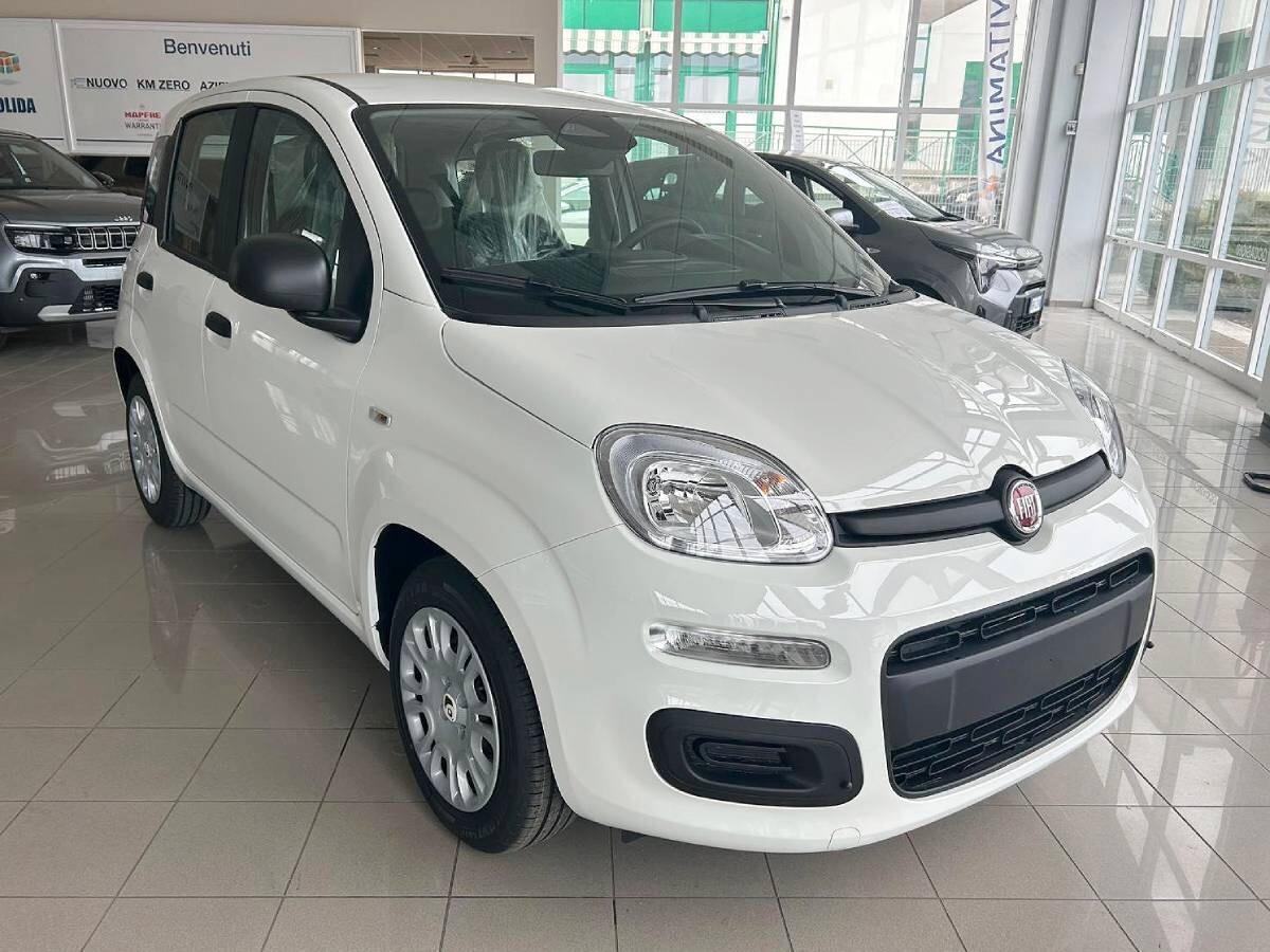 Fiat Panda 1.0 FireFly S&S Hybrid Icon