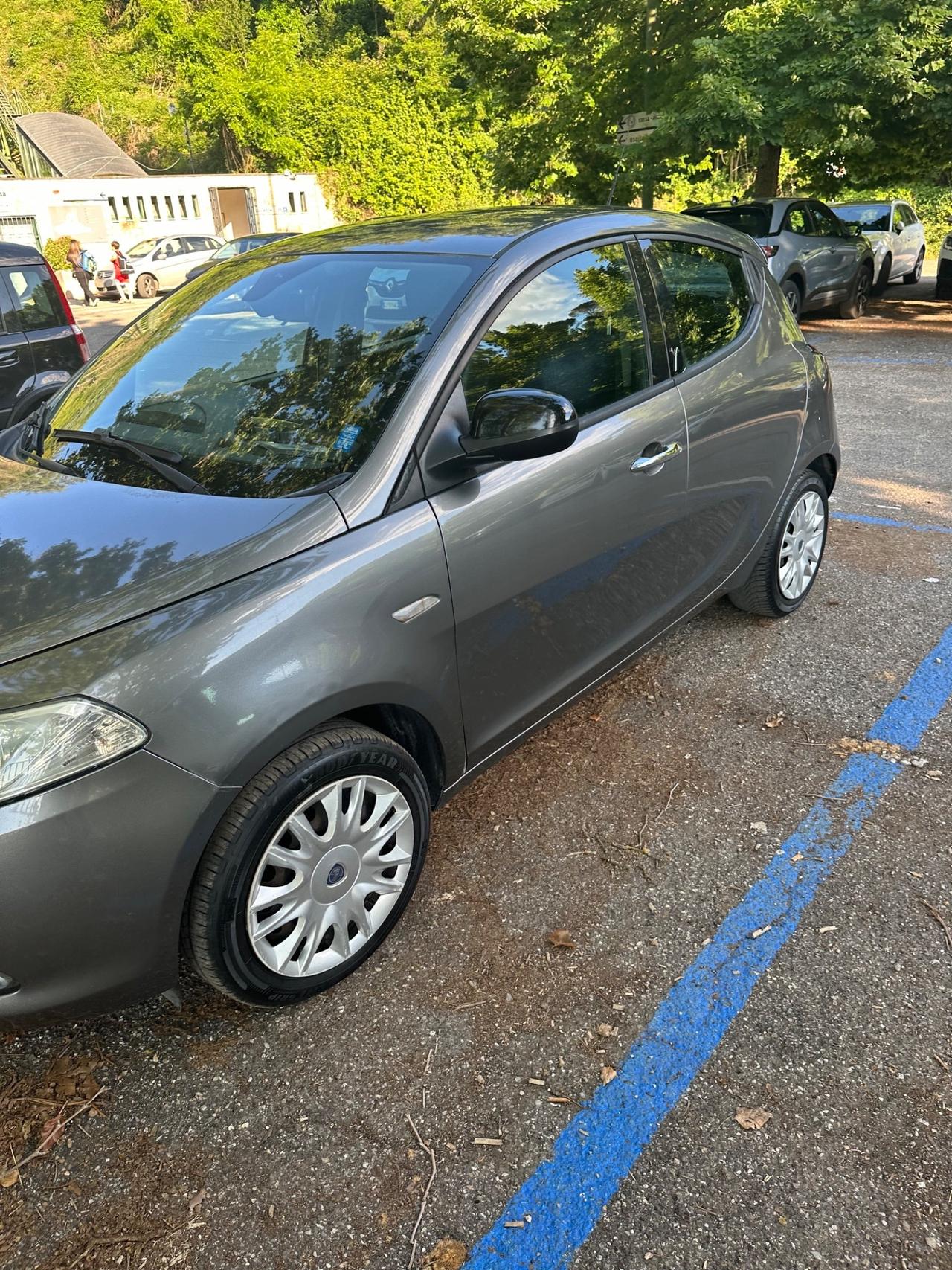 Lancia Ypsilon 1.3 MJT 16V 95 CV 5 porte S&S Platinum