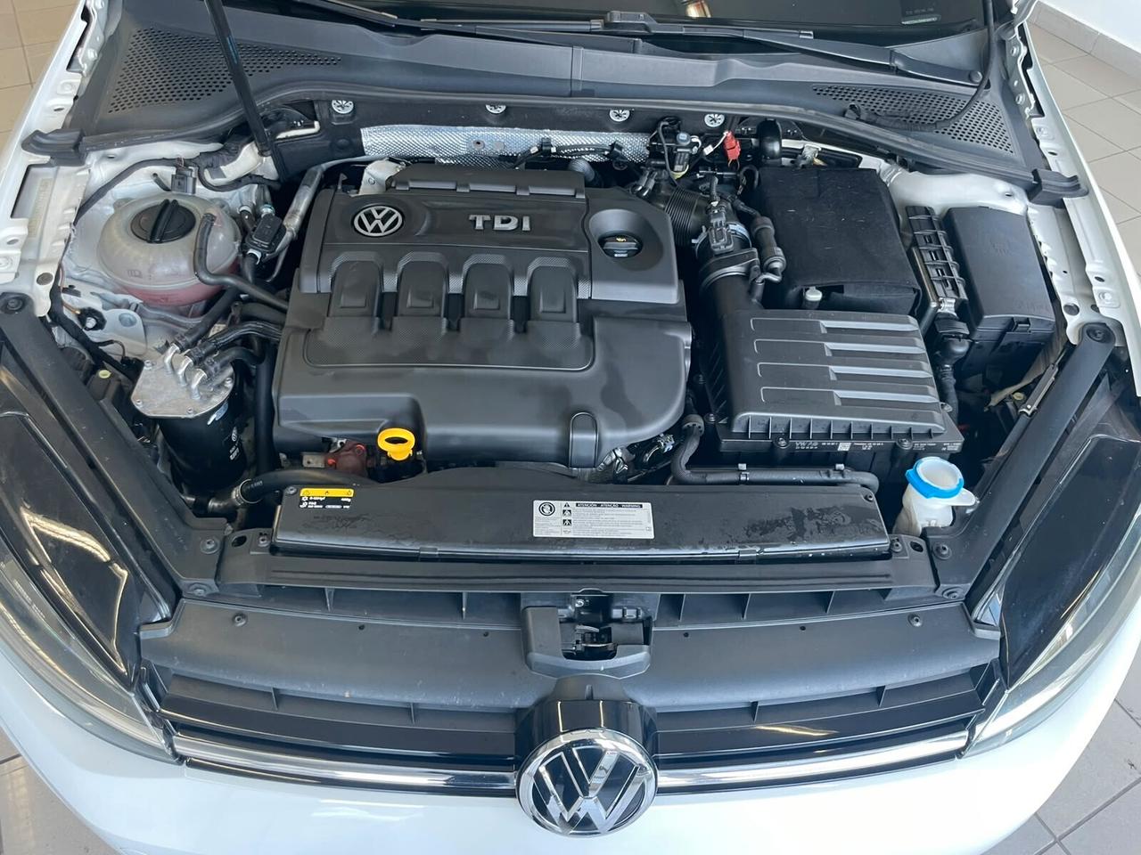 Volkswagen Golf 1.6 TDI 90 CV 5p. Trendline BlueMotion Technology