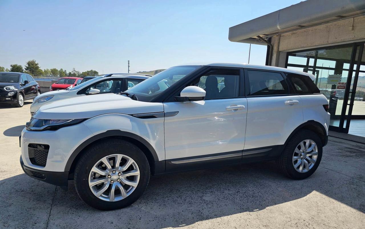 Land Rover Range Evoque 2.0 TD4 150 CV 5p. Business Edition Pure