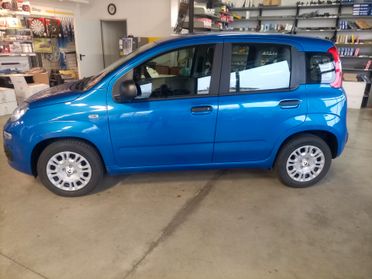 Fiat Panda 1.0 Hybrid Ikon + 5°posto