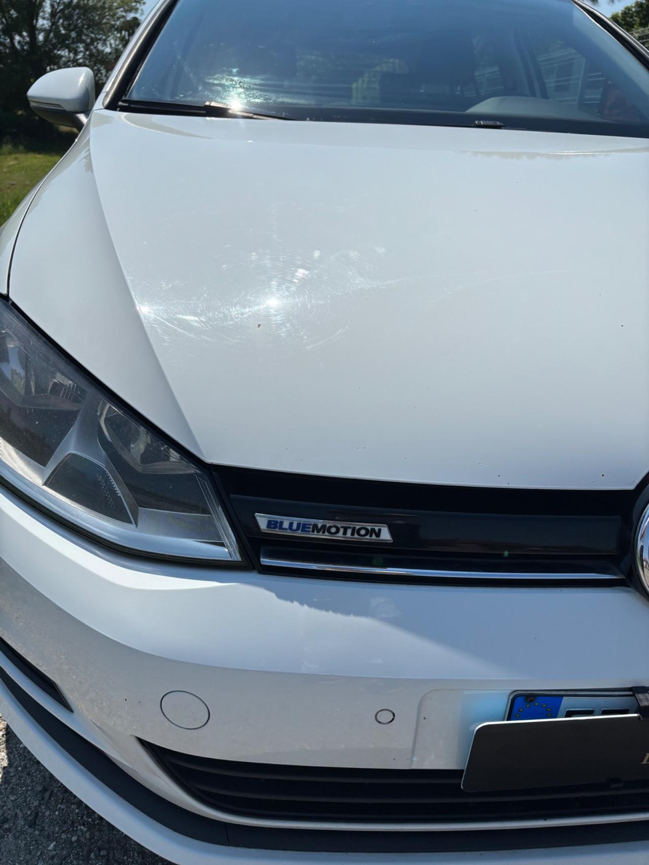 Volkswagen Golf Business 1.4 TGI 5p. Comfortline BlueMotion Solo per export