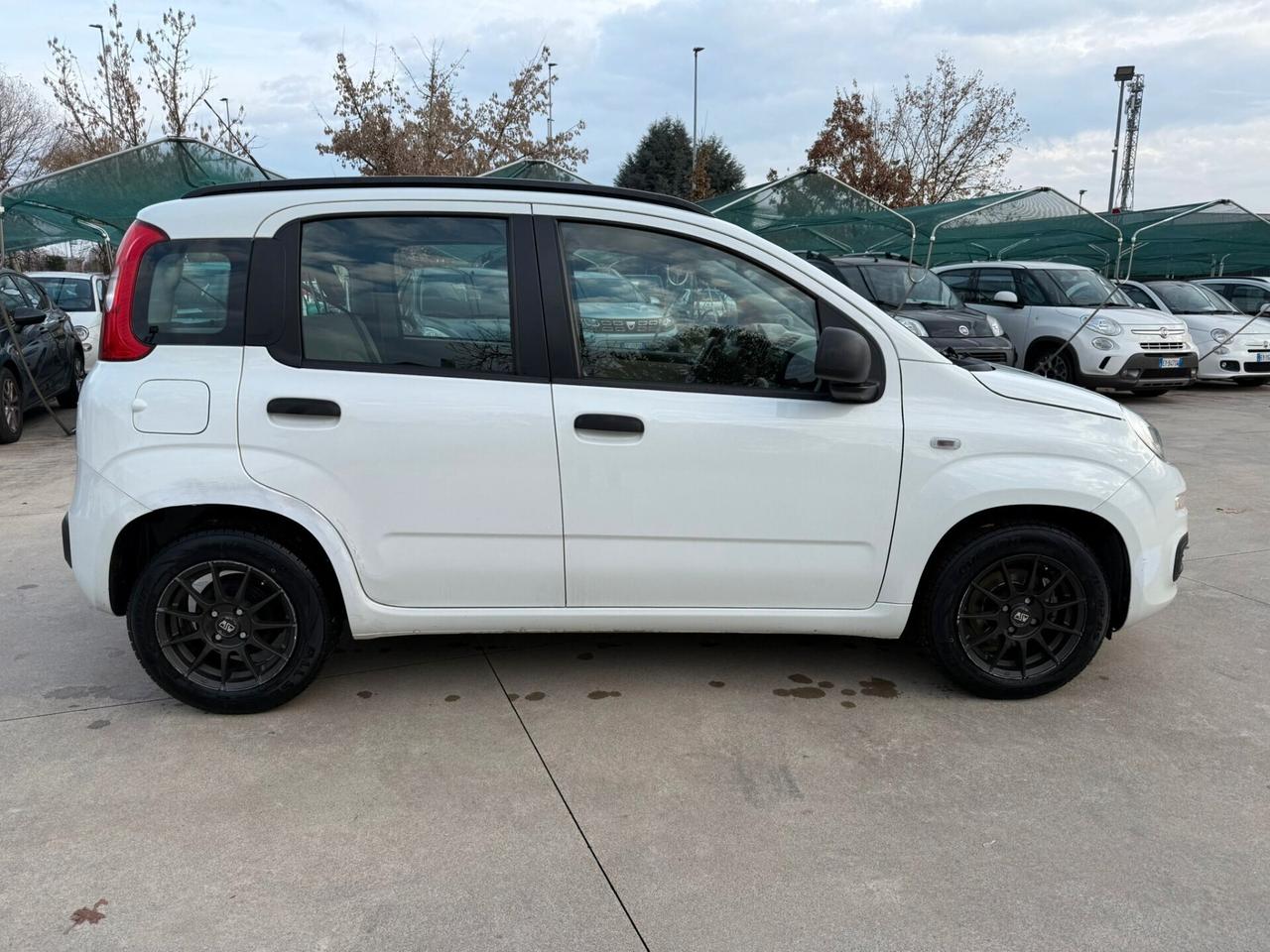 Fiat Panda 1.2 Easy NON PERFETTA DI CARROZZERIA