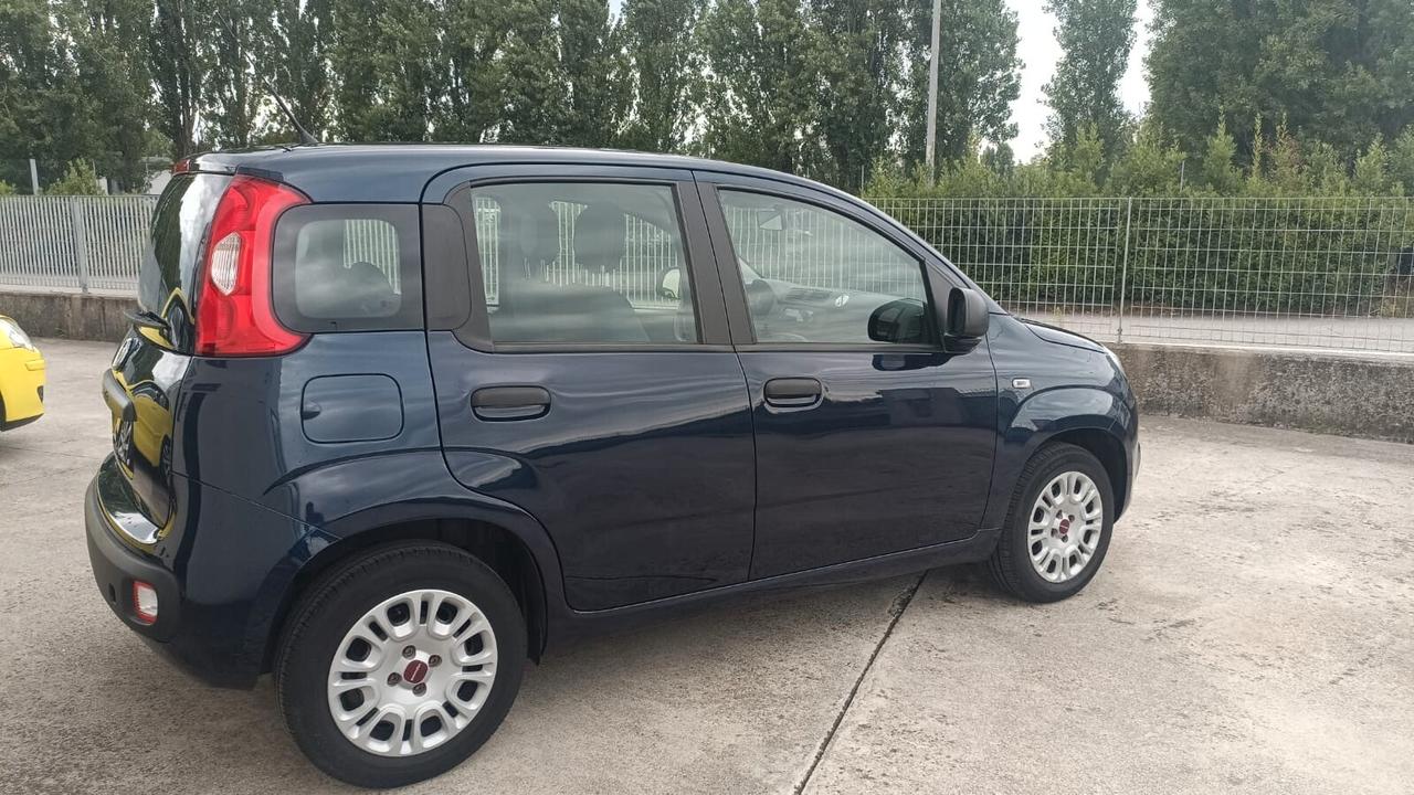 Fiat Panda 1.2 Easy UNICO PROPRIETARIO