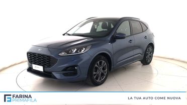 FORD Kuga III 2020 - Kuga 1.5 ecoblue ST-Line 2wd 120cv auto
