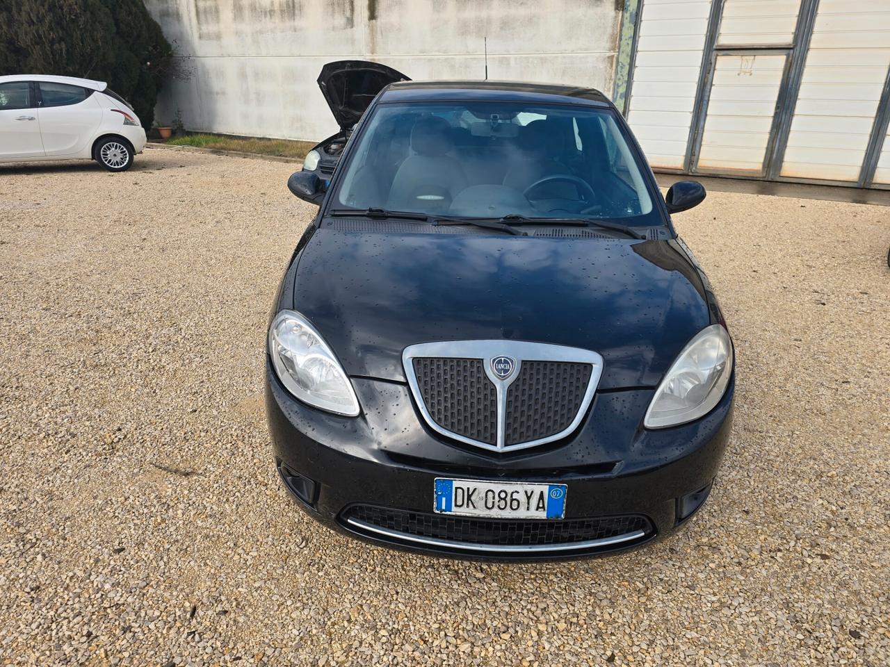 Lancia Ypsilon 1.2 Argento 44kw benzina